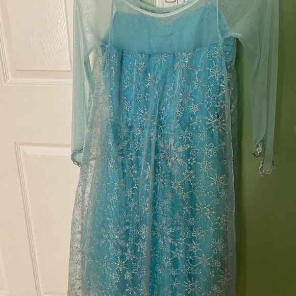Disney | Costumes | Authentic Elsa Dress Costume Bought In Disney World  Wore Once Great Condition | Poshmark